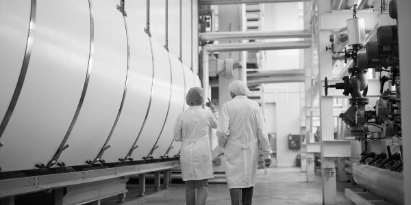 Peritajes Industriales Ciutat Vella · Informes Periciales de Ingeniería